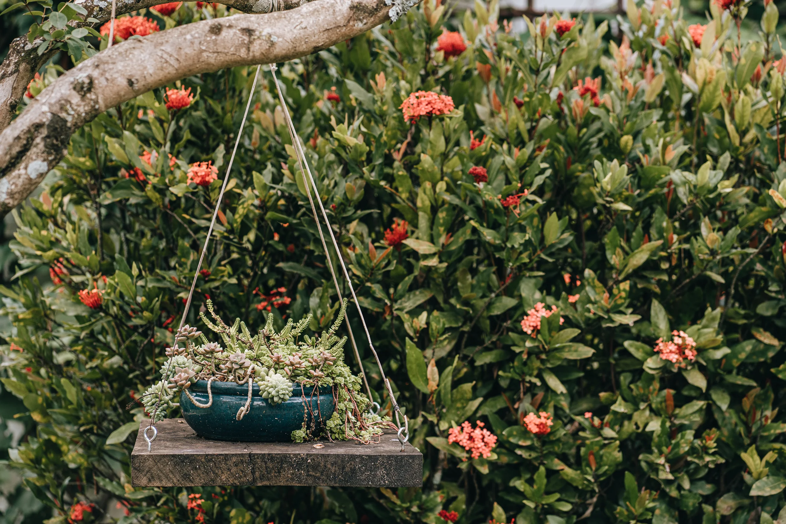 Foto pousada 4 Irmãos